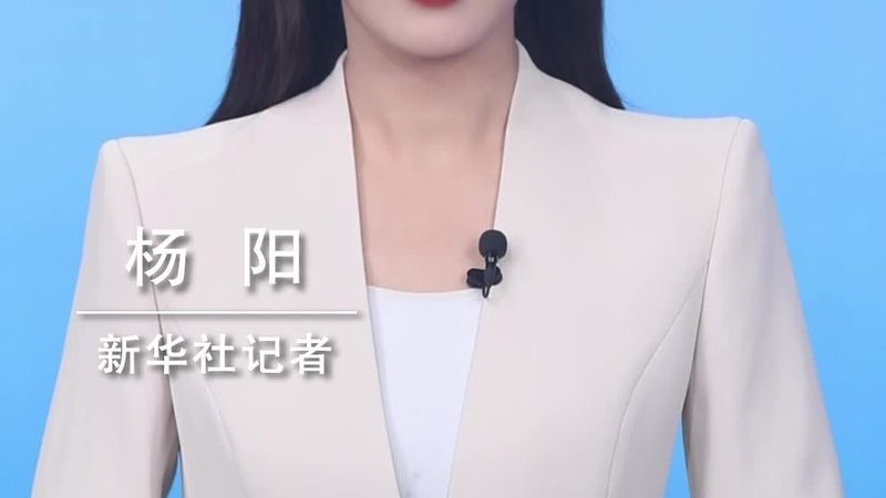 解码互联网技术安全规范：标准参数背后的深层含义
